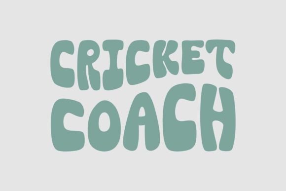 Retro Cricket Coach Design: A Practical Embroidery Review