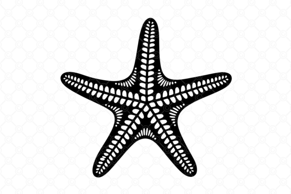Review: Starfish SVG, Starfish Silhouette, 037 for Embroidery