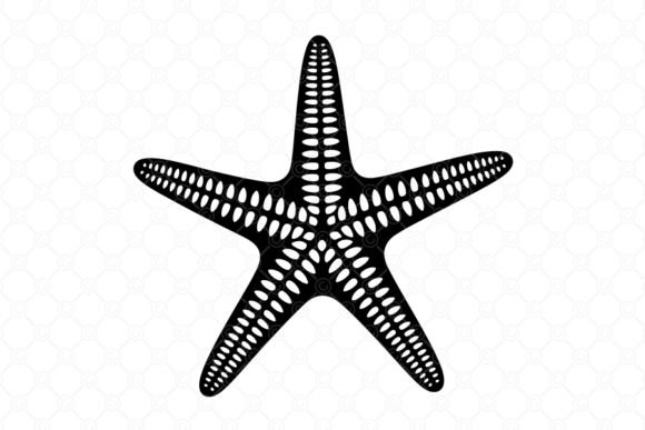 Reviewing Starfish SVG, Starfish Silhouette, 034 for Embroidery